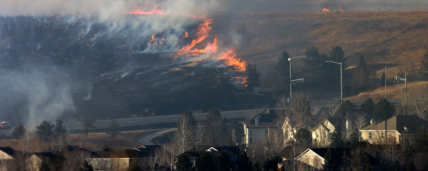 California Wildfire Mitigation